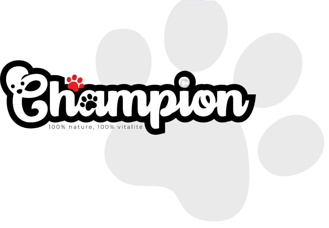 Champion